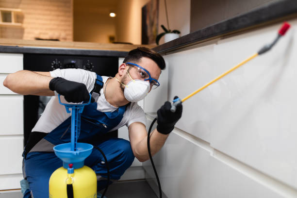 Best Pest Inspection Near Me  in Germantown, IL