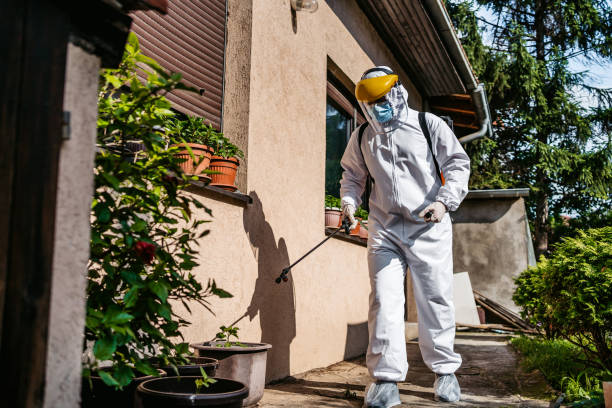 Best Affordable Exterminators  in Germantown, IL