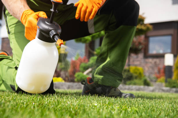 Best Spider Control Near Me  in Germantown, IL