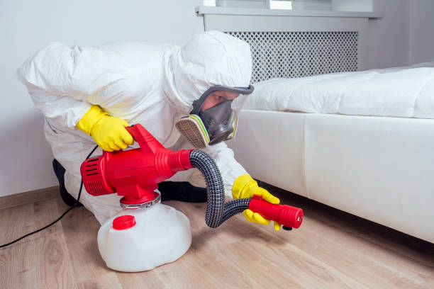 Best Flea Control Services  in Germantown, IL