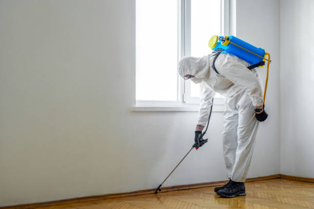 Best Pest Control Near Me  in Germantown, IL