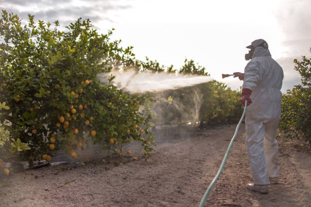 Best Best Pest Control Near Me  in Germantown, IL
